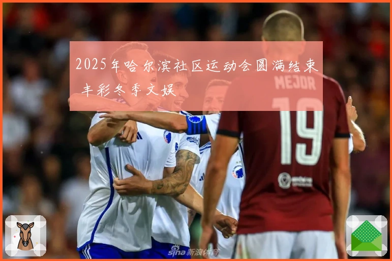 2025年哈尔滨社区运动会圆满结束 丰彩冬季文娱