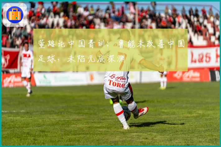 董路论中国青训：鲁能未改善中国足球，未陷无底深渊