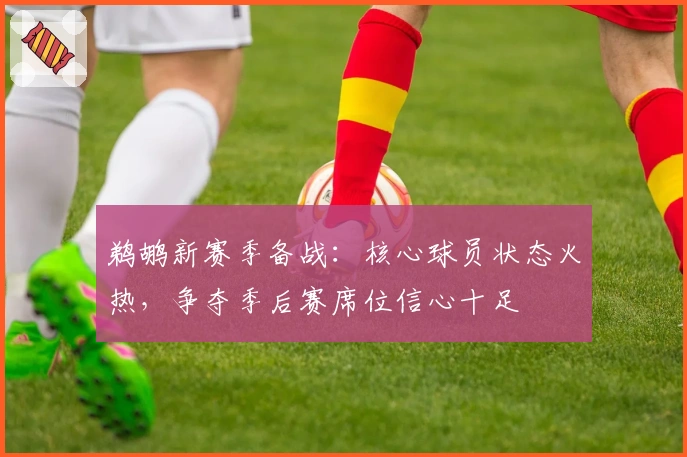 鹈鹕新赛季备战：核心球员状态火热，争夺季后赛席位信心十足