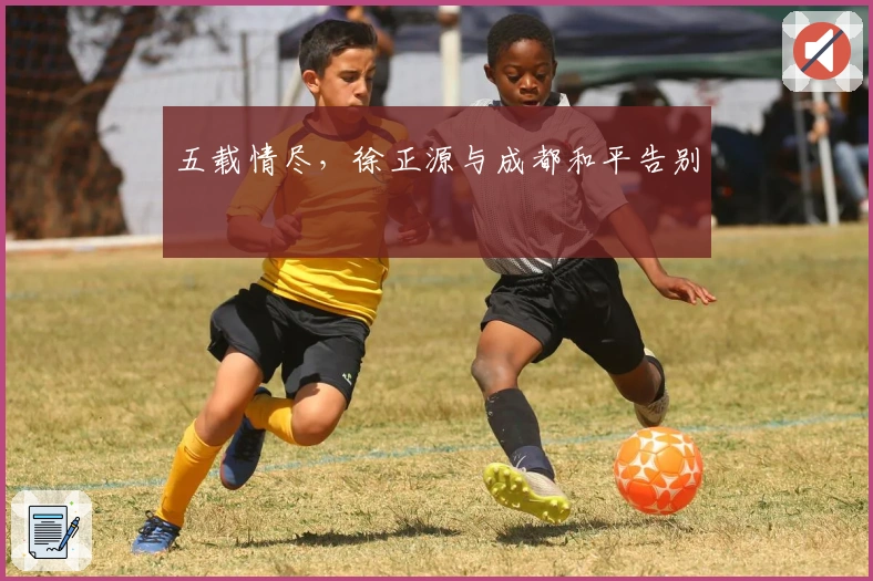 五载情尽,徐正源与成都和平告别